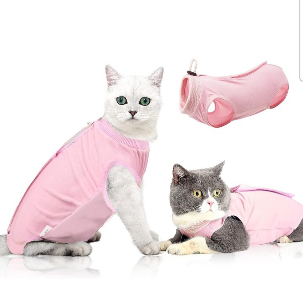2 furbaby outfits